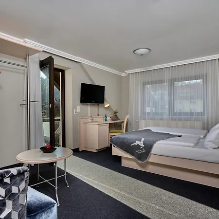 Sternwirt - Wellnesshotel Zwischen Nuernberg Und Amberg Hotel Hogen